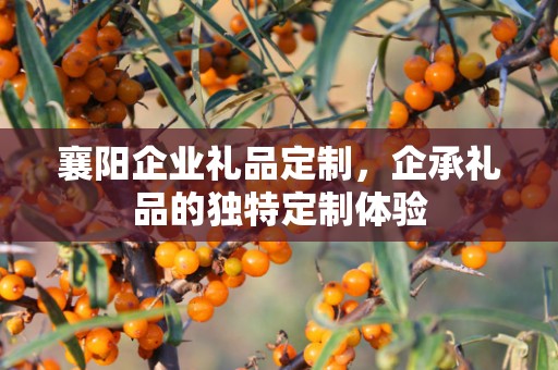 襄阳企业礼品定制，企承礼品的独特定制体验