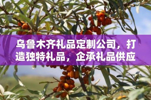 乌鲁木齐礼品定制公司，打造独特礼品，企承礼品供应链卓越服务