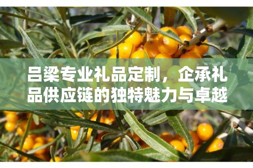 吕梁专业礼品定制，企承礼品供应链的独特魅力与卓越服务