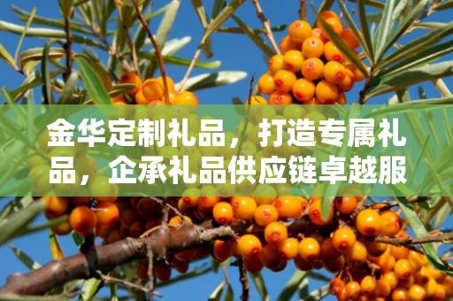 金华定制礼品，打造专属礼品，企承礼品供应链卓越服务
