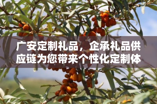 广安定制礼品，企承礼品供应链为您带来个性化定制体验