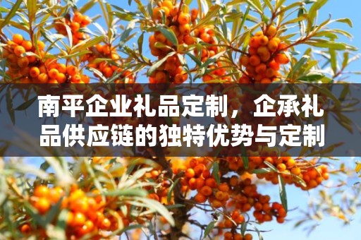 南平企业礼品定制，企承礼品供应链的独特优势与定制之旅