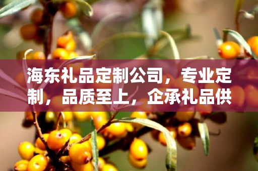 海东礼品定制公司，专业定制，品质至上，企承礼品供应链引领行业新风尚