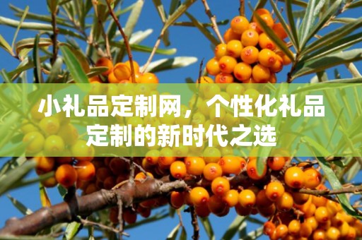 小礼品定制网，个性化礼品定制的新时代之选